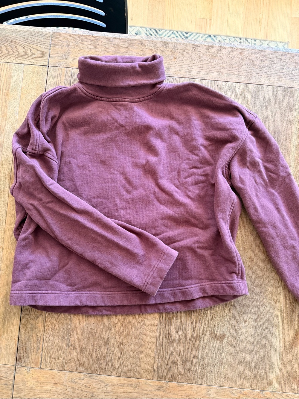 Everlane organic cotton Cozy Mauve Turtleneck Sweatshirt